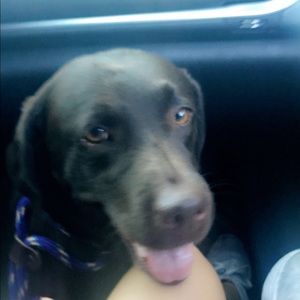 Meet your Posher, Julia